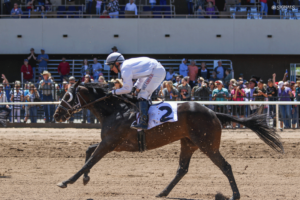 Arizona-Downs-Grand-Opening-45-1